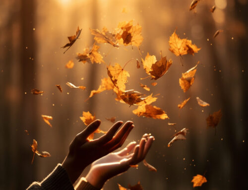 Así nace Esta Semana…