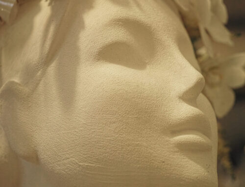 Tratamientos con Alma