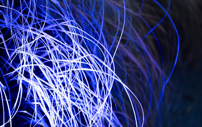 Close-Up of Vibrant Purple Pampas Grass with Soft Glow on Dark B